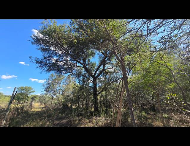 8.80HA VACANT LAND FOR SALE IN BELA BELA RURAL